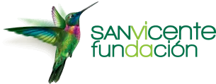 San Vicente Fundación